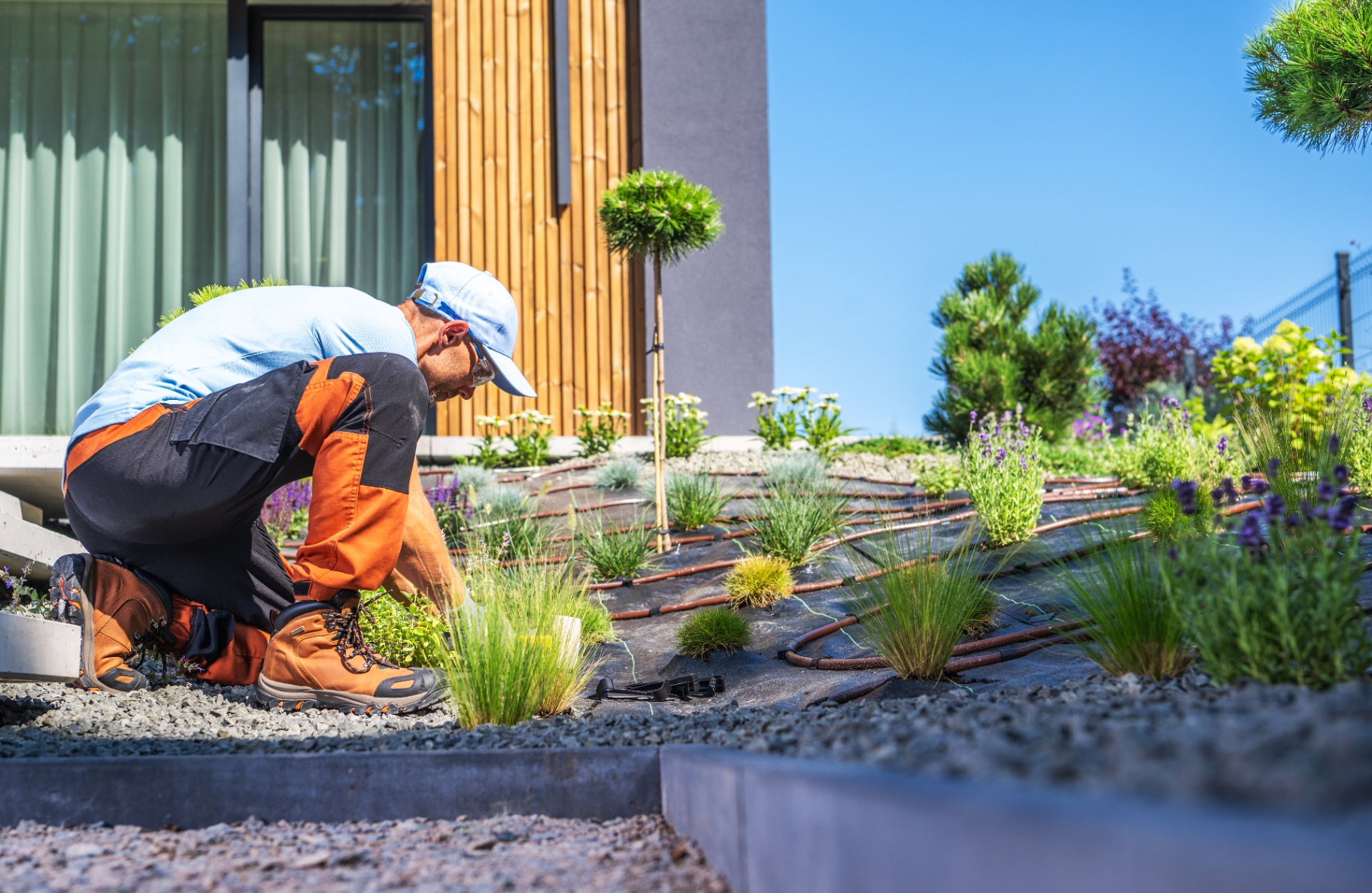 Landscaping services in Abu Dhabi
